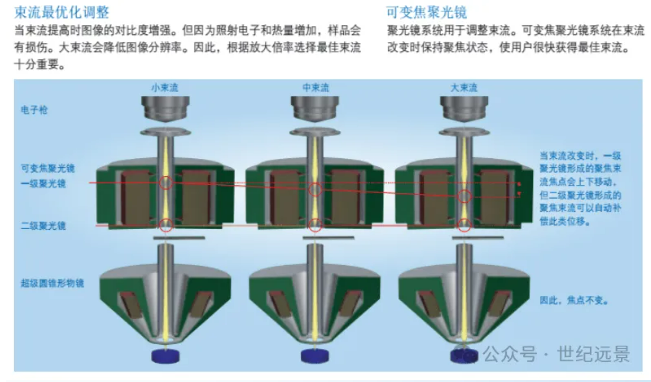 租售电镜扫描