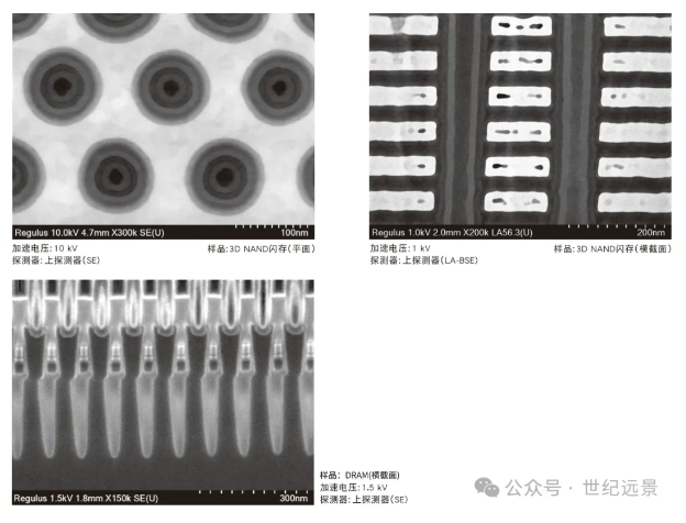 扫描电子显微镜SU8220 租售