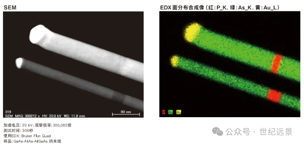 扫描电子显微镜SU8220 租售