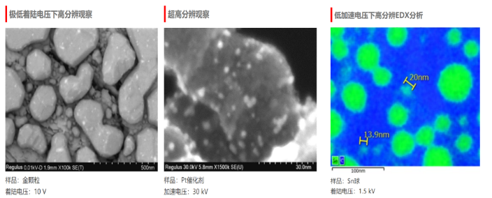 日立高新场发射扫描电子显微镜SU8220租赁服务