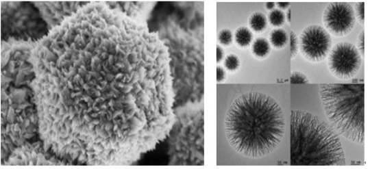 扫描电镜样品图片 扫描电镜样品图片