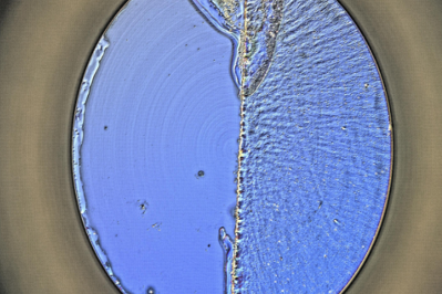 基恩士VHX-5000租售