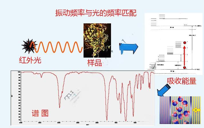 傅里叶红外光谱仪（FT-IR）